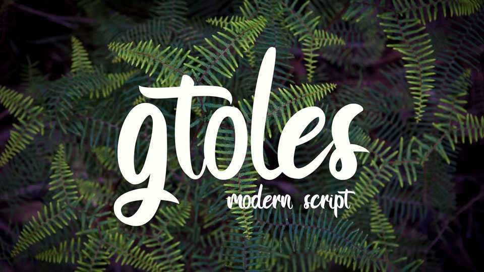 Gtoles Script Font › Fontesk