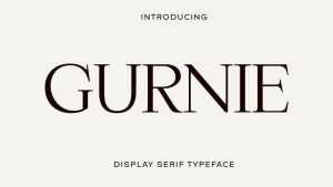 Gurnie Serif Font › Fontesk
