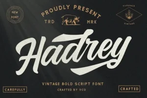 Hadrey - Vintage Script Font