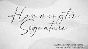 Hammington Script Font › Fontesk