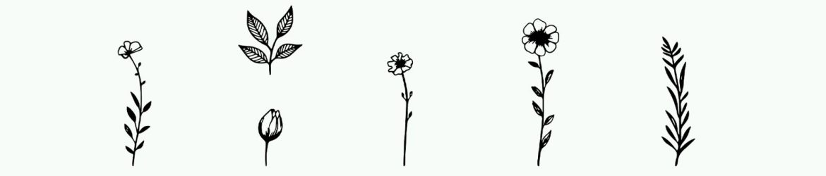 Hand-Drawn Style Vector Botanical Elements Hand-Drawn Style Vector Botanical Elements