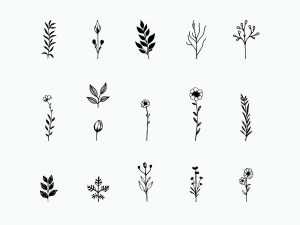 Hand-Drawn Style Vector Botanical Elements
