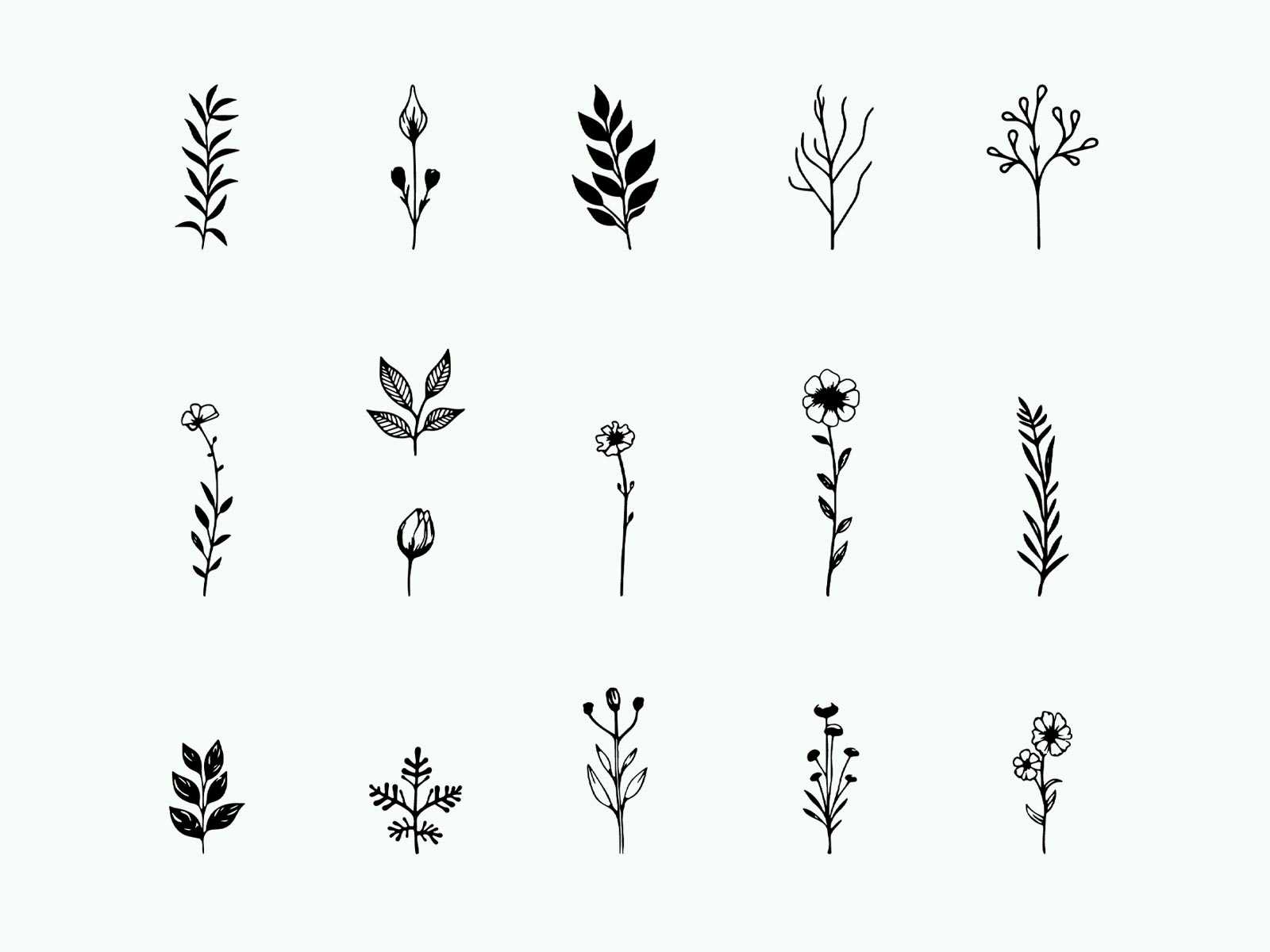 Hand-Drawn Style Vector Botanical Elements
