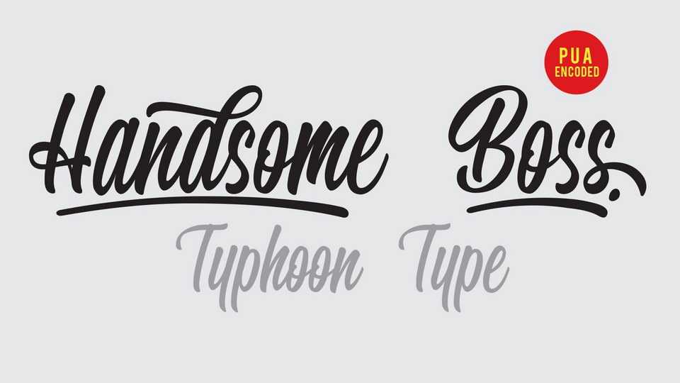 Handsome Boss Font › Fontesk