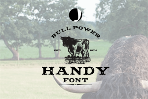 Handy Font