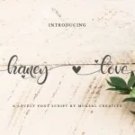 Haney Love Calligraphy Font
