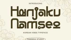 Hanjaku Namseo Font › Fontesk
