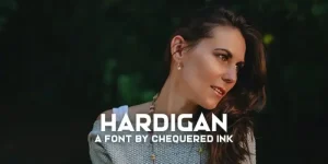 Hardigan Sans Serif Font