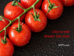 Harvest Tomatoes PowerPoint Template