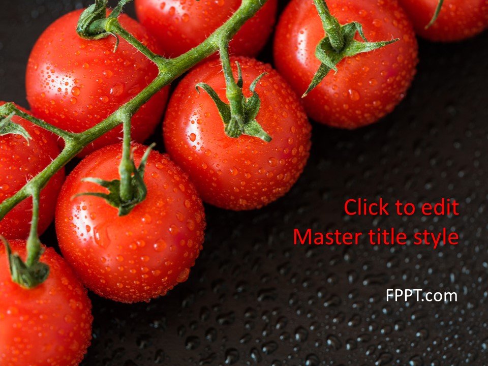 Harvest Tomatoes PowerPoint Template