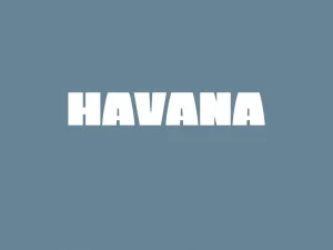 Havana Bold Sans Serif Font