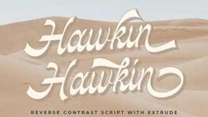 Hawkin Font › Fontesk