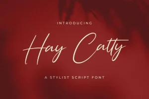 Hay Catty Script Font