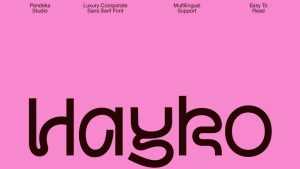 Hayko Font › Fontesk