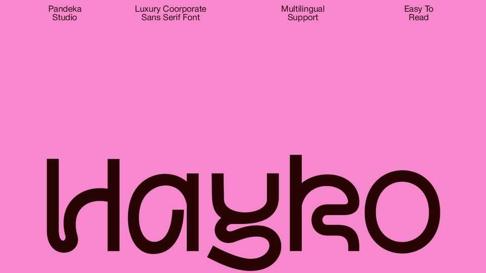 Hayko Font › Fontesk