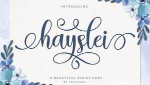 Haysley Script Font › Fontesk