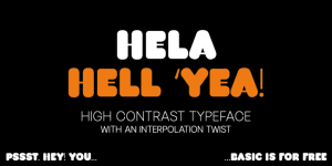 Hela Dysplay Font Family