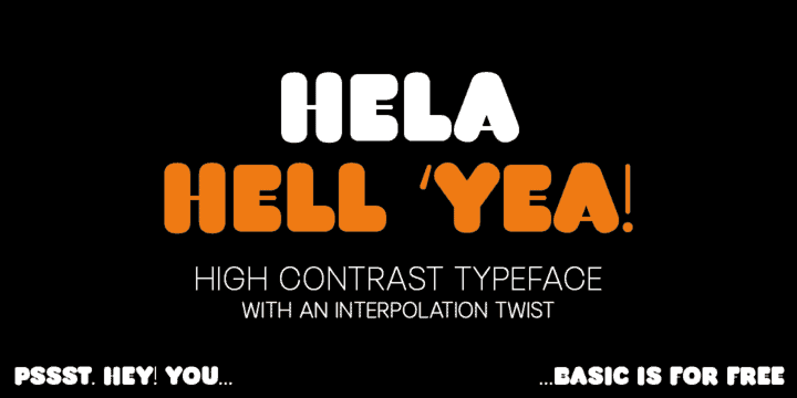 Hela Dysplay Font Family