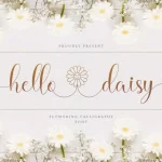Hello Daisy Calligraphy Script