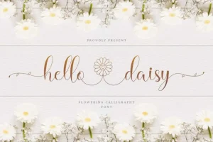 Hello Daisy Calligraphy Script