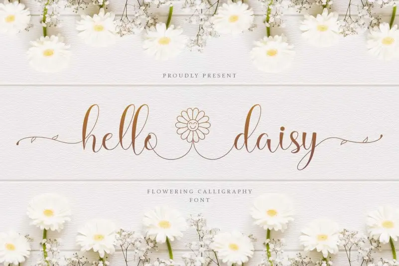Hello Daisy Calligraphy Script