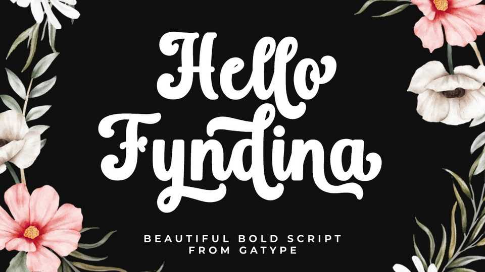 Hello Fyndina Font › Fontesk