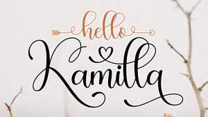 Hello Kamilla Script Font › Fontesk