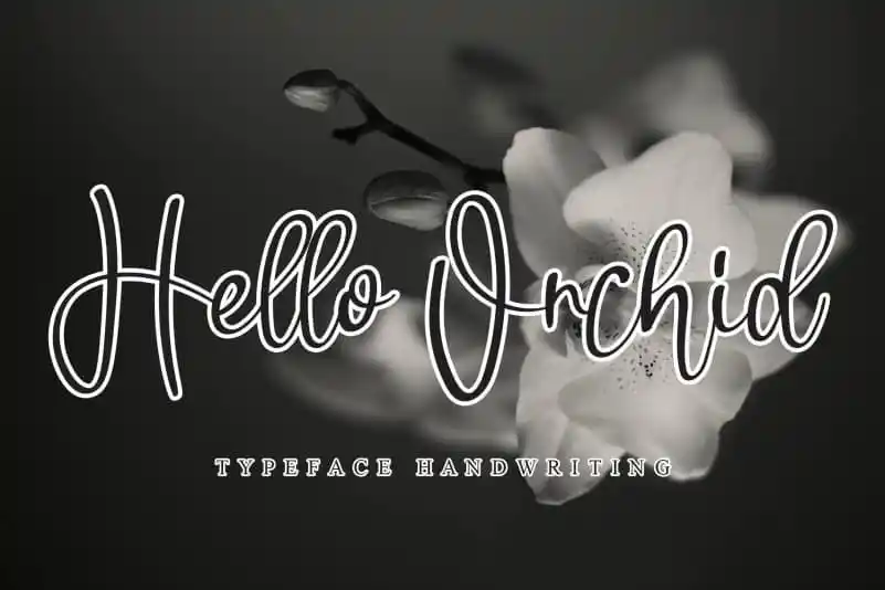 Hello Orchid Handwritten Font