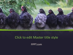Hens PowerPoint Template