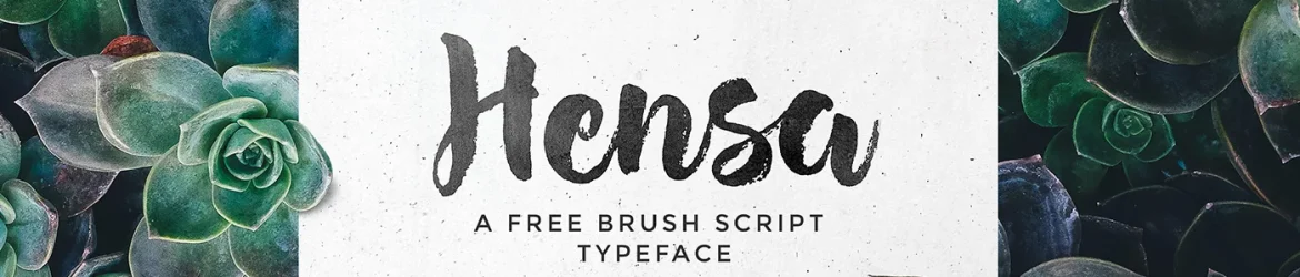 Hensa Brush Font