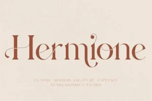 Hermione Serif Font