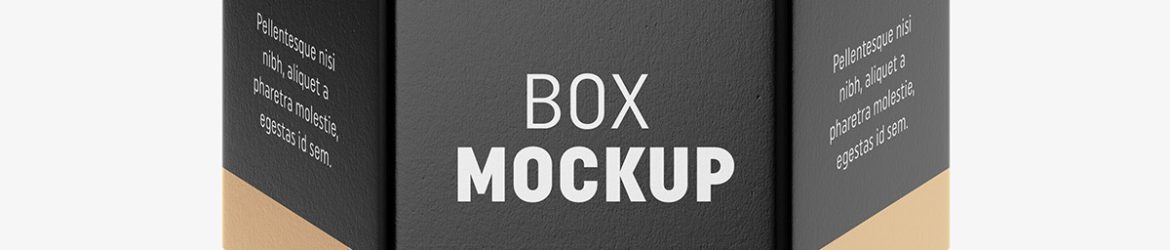 Hexagonal box mockup / white - metallic - kraft