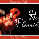 Hey Flamingo Handwritten Font