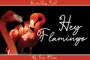 Hey Flamingo Handwritten Font