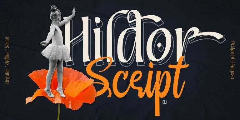 Hildor Font Duo