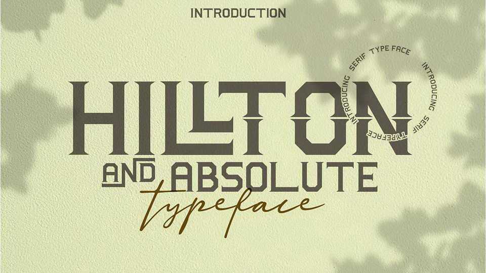 Hillton and Absolute Font › Fontesk