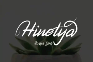 Hinetya Handwritten Font