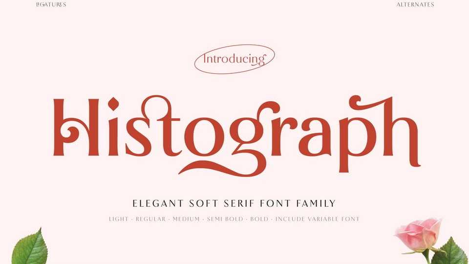 Histograph Font › Fontesk