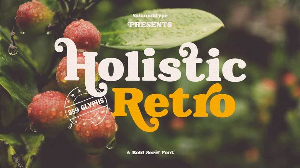 Holistic Retro Font › Fontesk