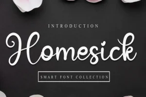 Homesick Script Font