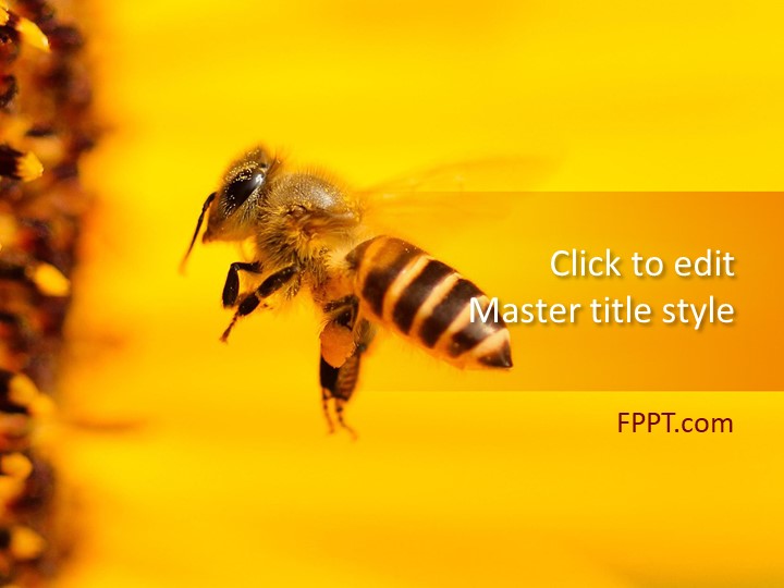 Honey Bee PowerPoint Template