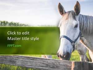 Horse PowerPoint Template