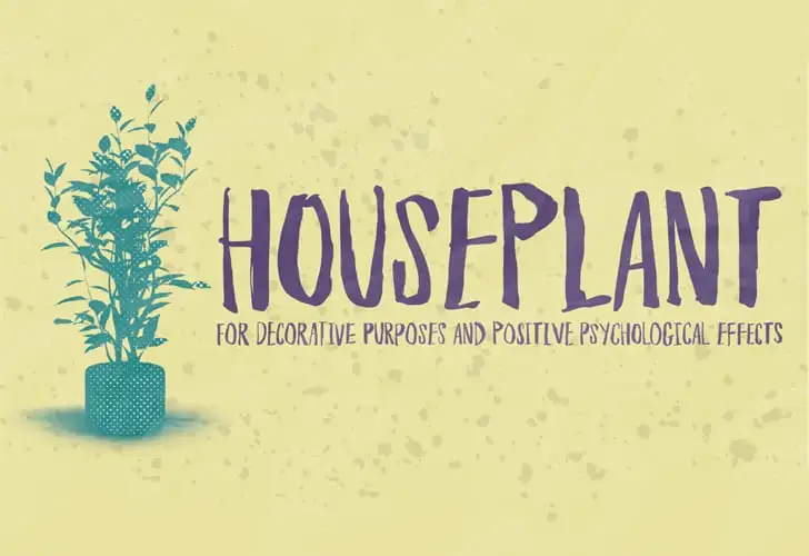 Houseplant Font