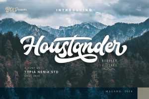 Houstander Script Font