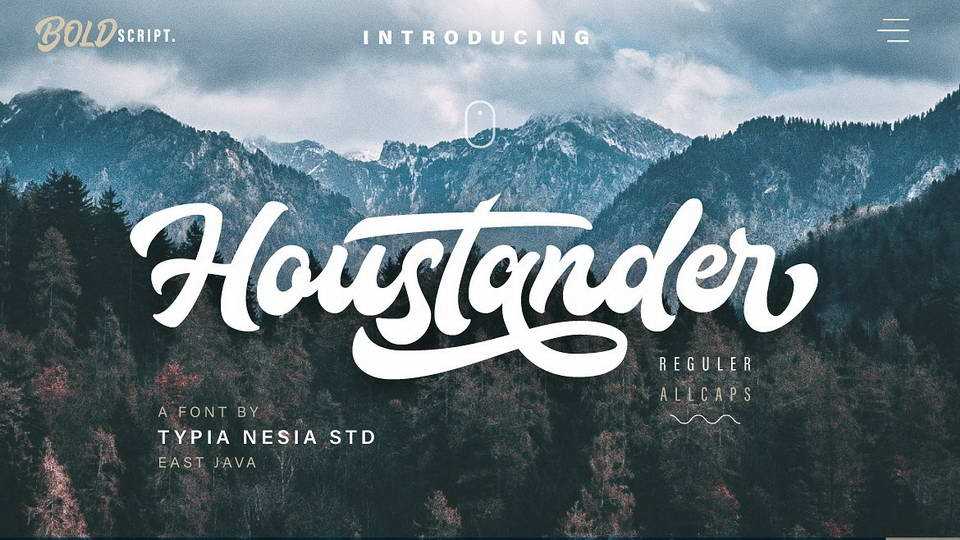 Houstander Script Font › Fontesk