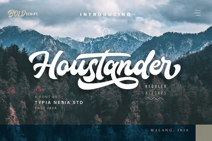 Houstander Script Font