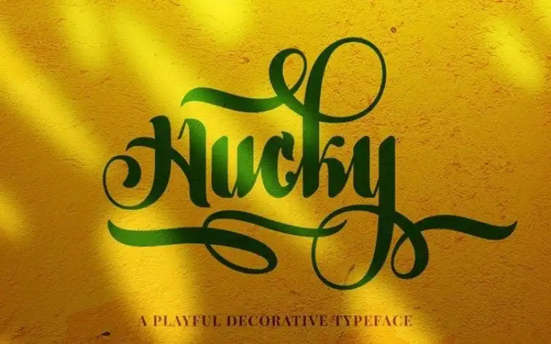 Hucky Calligraphy Font