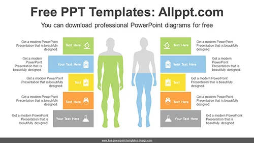 Human Body Percentage PPT Diagram
