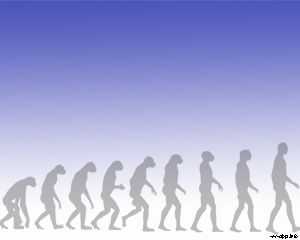 Human Evolution PowerPoint Template