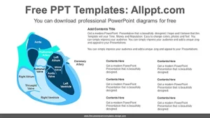 Human Heart PowerPoint Diagram
